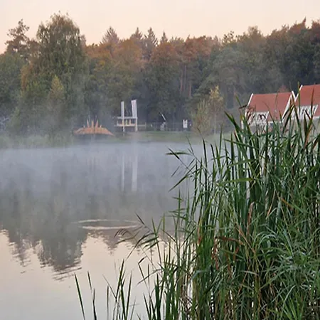 Stiltewoud Holiday home *