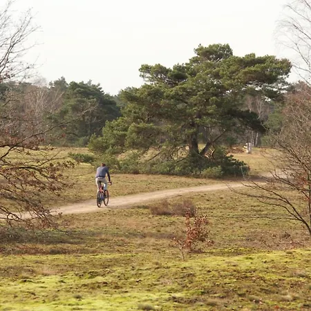 Holiday home Stiltewoud Otterlo